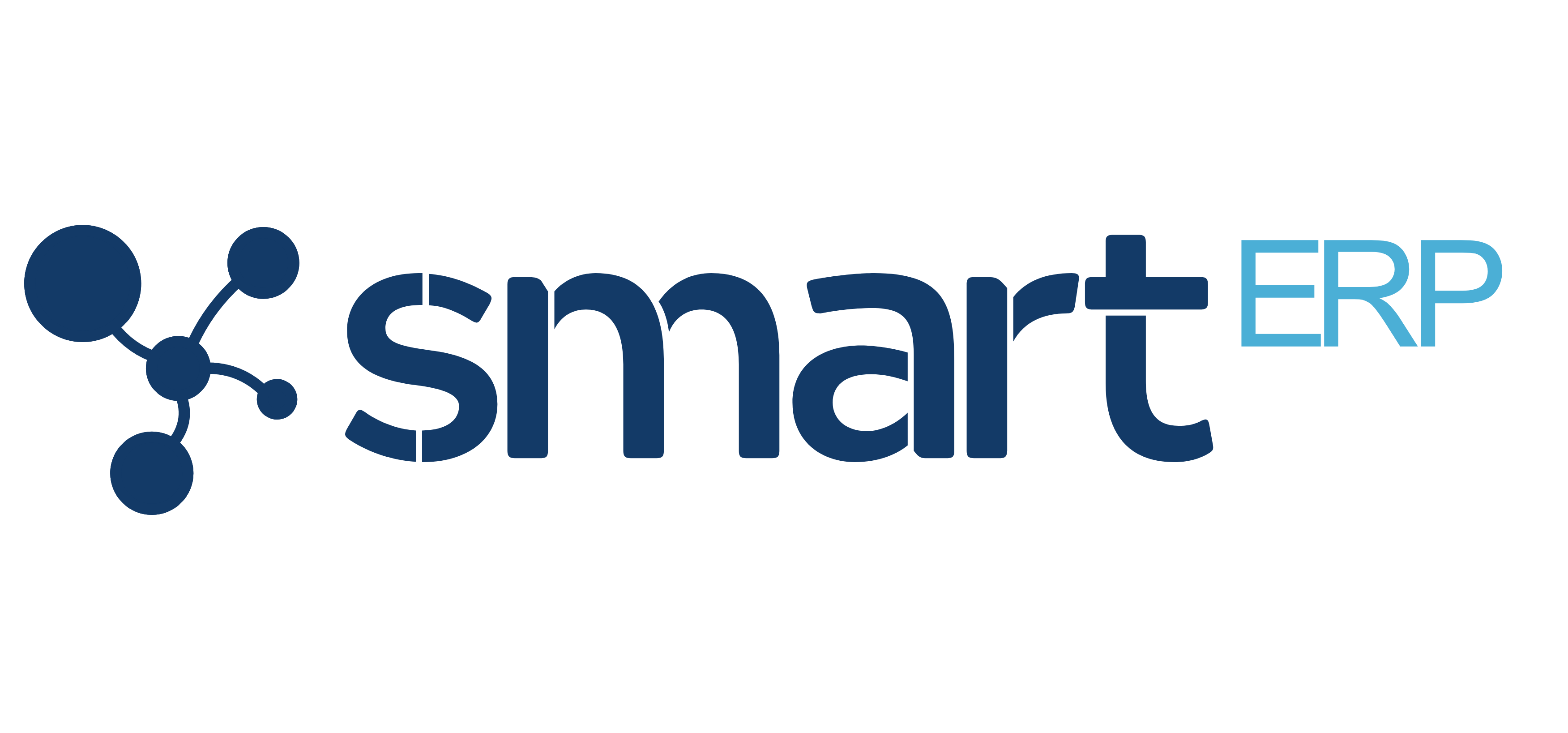 SmartERP
